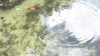 морская рыбалка на Кубе: учусь спиннингу с нуля на атлантическом берегу