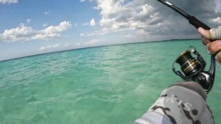 морская рыбалка на Кубе: учусь спиннингу с нуля на атлантическом берегу