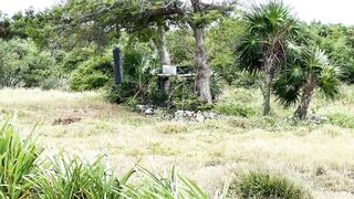 Cuba 2023 катамаран Гавана Varadero Cayo Largo сколько стоит яхтинг и ловля