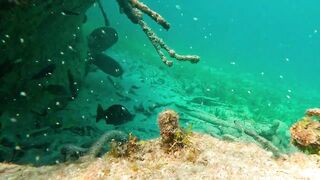 Cuba 2023 катамаран Гавана Varadero Cayo Largo сколько стоит яхтинг и ловля