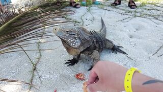 Cayo Blanco у Cuba Varadero 2021 яхта дорога по воде и что поймали