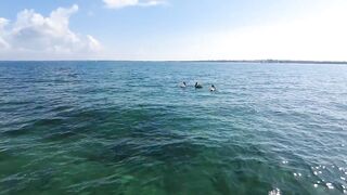 Cayo Blanco у Cuba Varadero 2021 яхта дорога по воде и что поймали