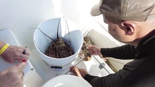 Cayo Blanco у Cuba Varadero 2021 яхта дорога по воде и что поймали