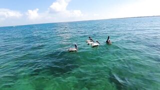 Cayo Blanco у Cuba Varadero 2021 яхта дорога по воде и что поймали