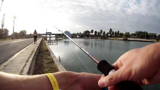 морская рыбалка в Varadero - барракуда на El Canale и спиннинг на максимуме