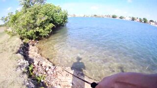 морская рыбалка в Varadero - барракуда на El Canale и спиннинг на максимуме