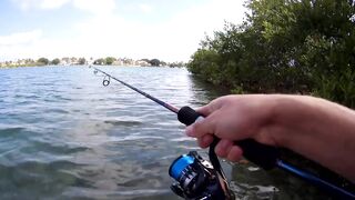 морская рыбалка в Varadero - барракуда на El Canale и спиннинг на максимуме