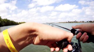 морская рыбалка в Varadero - барракуда на El Canale и спиннинг на максимуме