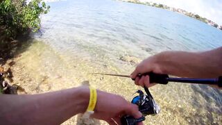 морская рыбалка в Varadero - барракуда на El Canale и спиннинг на максимуме