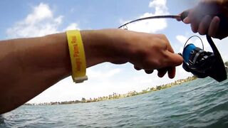 морская рыбалка в Varadero - барракуда на El Canale и спиннинг на максимуме