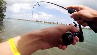 морская рыбалка в Varadero - барракуда на El Canale и спиннинг на максимуме