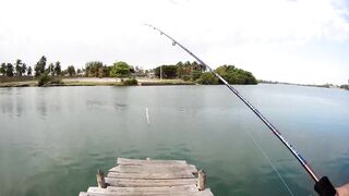 морская рыбалка в Varadero - барракуда на El Canale и спиннинг на максимуме