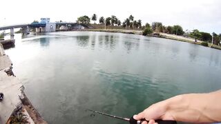 морская рыбалка в Varadero - барракуда на El Canale и спиннинг на максимуме