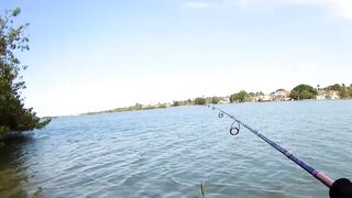 морская рыбалка в Varadero - барракуда на El Canale и спиннинг на максимуме