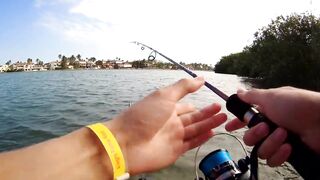 морская рыбалка в Varadero - барракуда на El Canale и спиннинг на максимуме