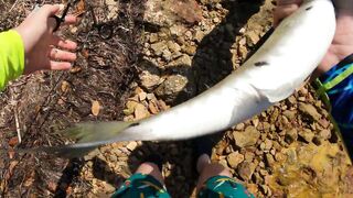 Морская рыбалка в Varadero (Варадеро) барракуда на Кубе и быстрые атаки