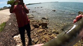 Морская рыбалка в Varadero (Варадеро) барракуда на Кубе и быстрые атаки