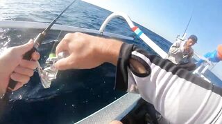 Bali Amed выход на лодке и mahi mahi что за рыба попалась