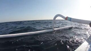 Bali Amed выход на лодке и mahi mahi что за рыба попалась