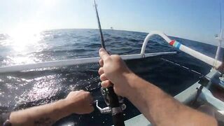 Bali Amed выход на лодке и mahi mahi что за рыба попалась