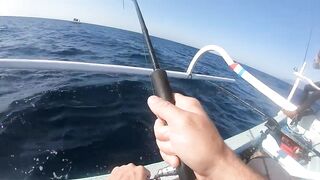 Bali Amed выход на лодке и mahi mahi что за рыба попалась