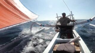 Bali Amed выход на лодке и mahi mahi что за рыба попалась