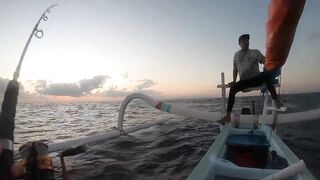 Bali Amed выход на лодке и mahi mahi что за рыба попалась