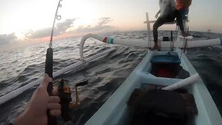 Bali Amed выход на лодке и mahi mahi что за рыба попалась