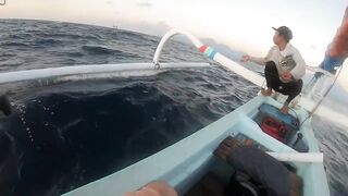 Bali Amed выход на лодке и mahi mahi что за рыба попалась