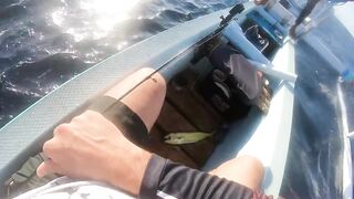 Bali Amed выход на лодке и mahi mahi что за рыба попалась