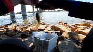 Tok Bali и Semerak разведка портов для ловли на реке эпизод 6