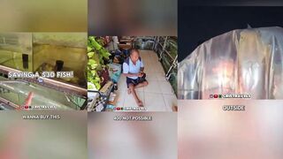 Спас рыбину за $30, отпустил в дикую воду и смотрел как она уходит