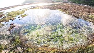 Морская рыбалка на Бали (Bali) и в Индонезии что клюет на красивом острове