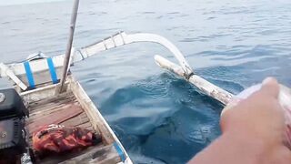 Как ловят tongkol по старинке в Bali на открытой воде у местных