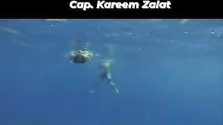 морская рыбалка в Marsa Allam - ночь на берегу и игры у воды после снорклинга