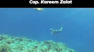 морская рыбалка в Marsa Allam - ночь на берегу и игры у воды после снорклинга