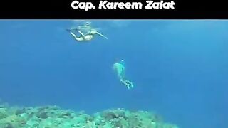 морская рыбалка в Marsa Allam - ночь на берегу и игры у воды после снорклинга