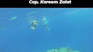 морская рыбалка в Marsa Allam - ночь на берегу и игры у воды после снорклинга