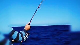 морская рыбалка в Marsa Alam поппинг по тунцу январь 2018