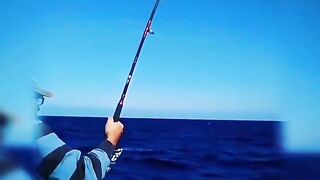 морская рыбалка в Marsa Alam поппинг по тунцу январь 2018