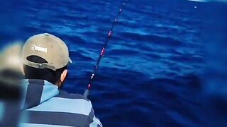 морская рыбалка в Marsa Alam поппинг по тунцу январь 2018