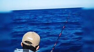 морская рыбалка в Marsa Alam поппинг по тунцу январь 2018