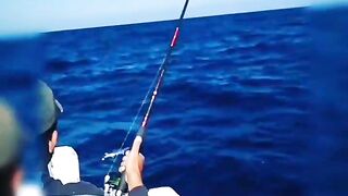 морская рыбалка в Marsa Alam поппинг по тунцу январь 2018