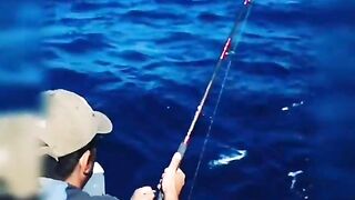 морская рыбалка в Marsa Alam поппинг по тунцу январь 2018