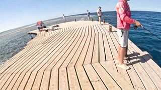 Египет / Egypt день 2: поездка в Marsa Alam / Марса Алам и рыбалка с пирса