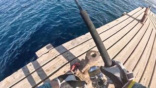 Египет / Egypt день 2: поездка в Marsa Alam / Марса Алам и рыбалка с пирса