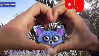 Marsa Alam, рифы и пляжи что посмотреть и когда лучше ехать