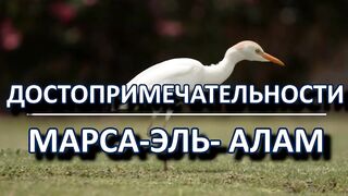 Marsa Alam, рифы и пляжи что посмотреть и когда лучше ехать