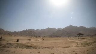 Marsa Alam, рифы и пляжи что посмотреть и когда лучше ехать