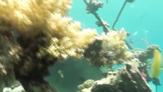 Marsa Alam, рифы и пляжи что посмотреть и когда лучше ехать